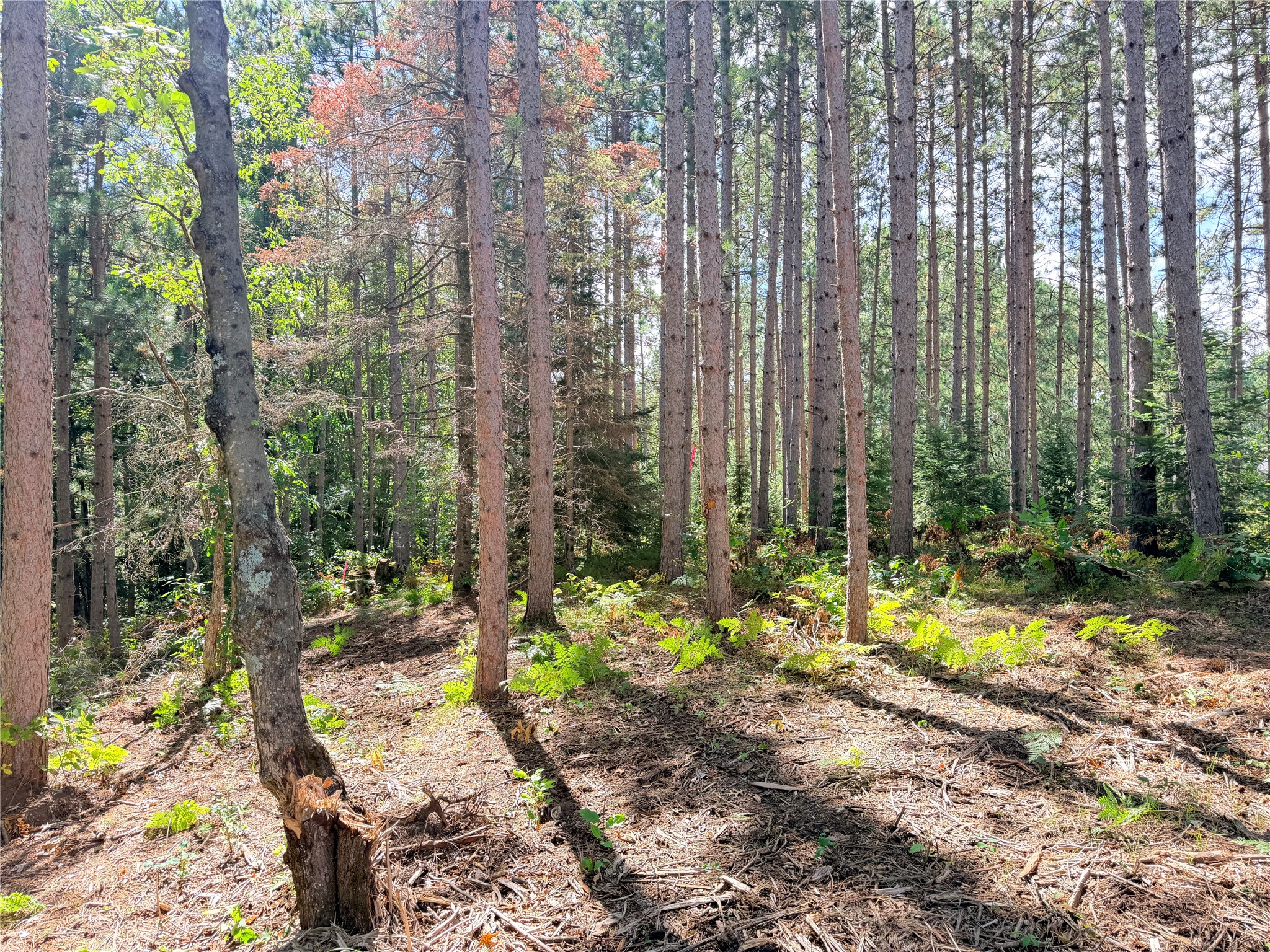 Lot 3 Boat Landing Road Property Photo 11