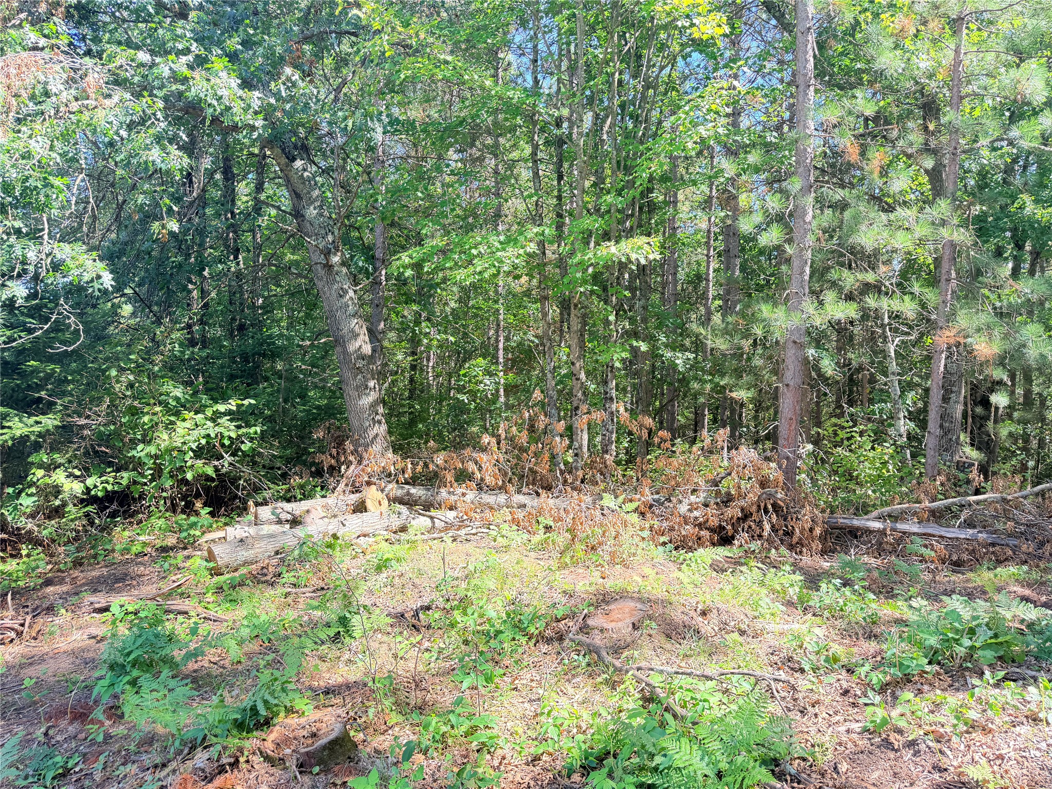 Lot 3 Boat Landing Road Property Photo 13