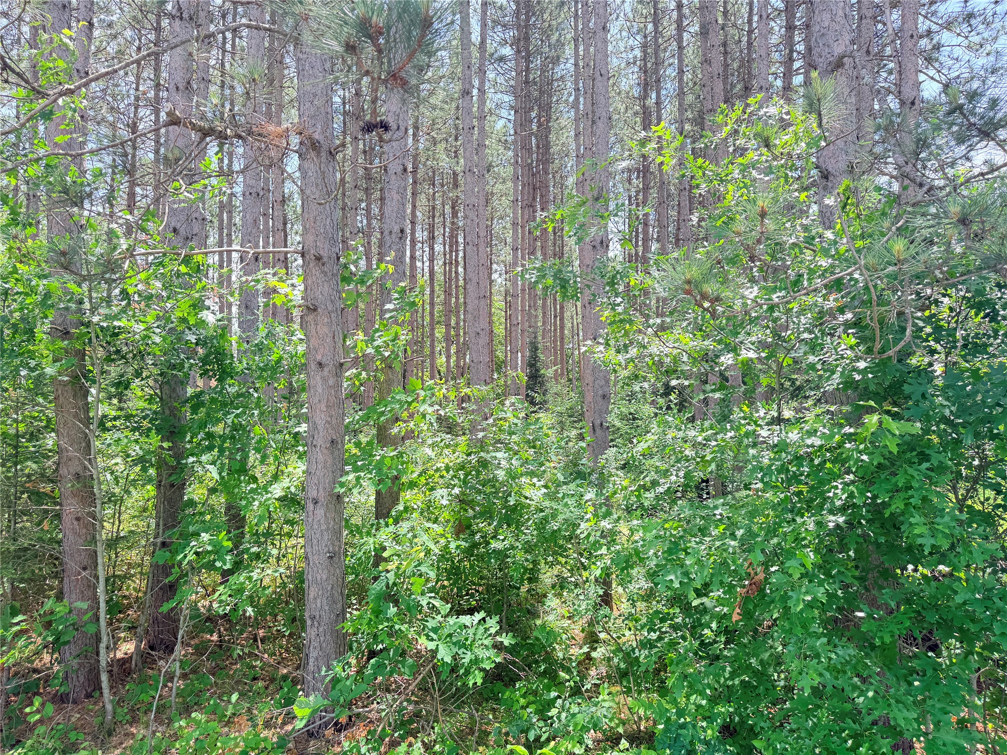 Lot 3 Boat Landing Road Property Photo 14