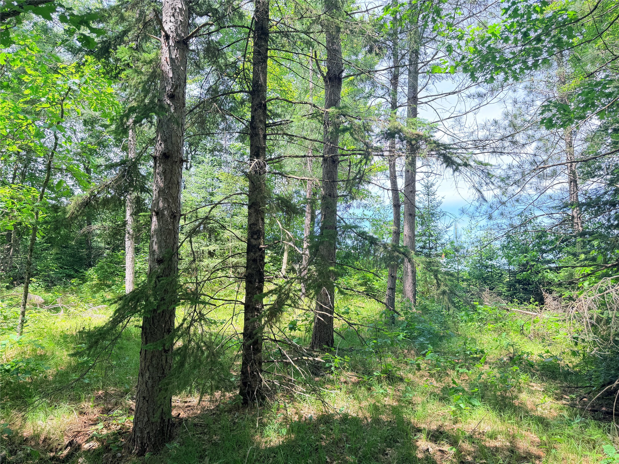 Lot 3 Boat Landing Road Property Photo 18