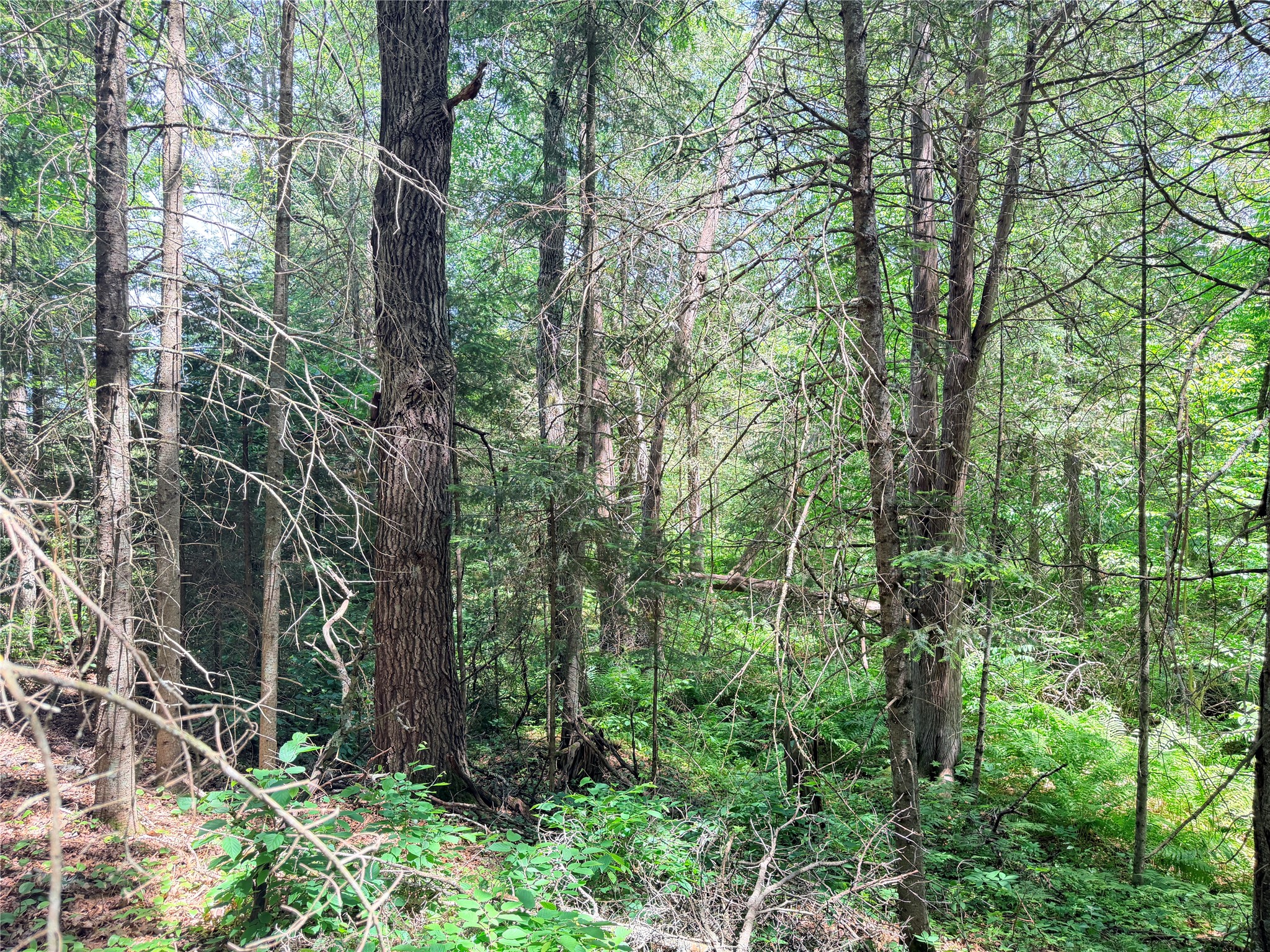 Lot 3 Boat Landing Road Property Photo 19
