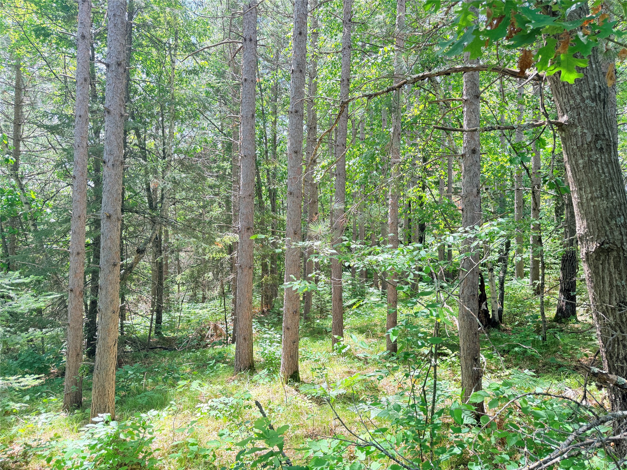 Lot 3 Boat Landing Road Property Photo 21