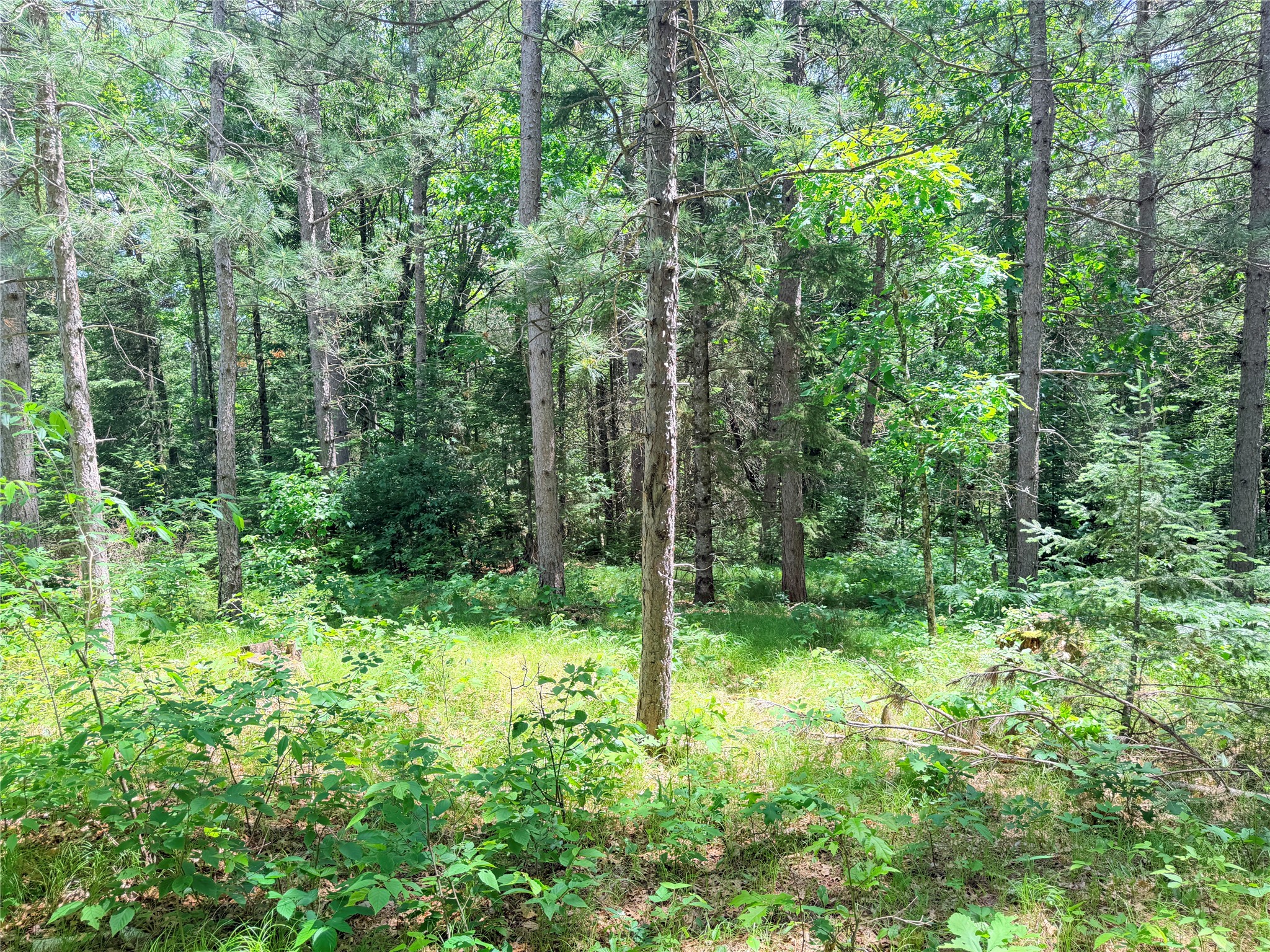 Lot 3 Boat Landing Road Property Photo 22