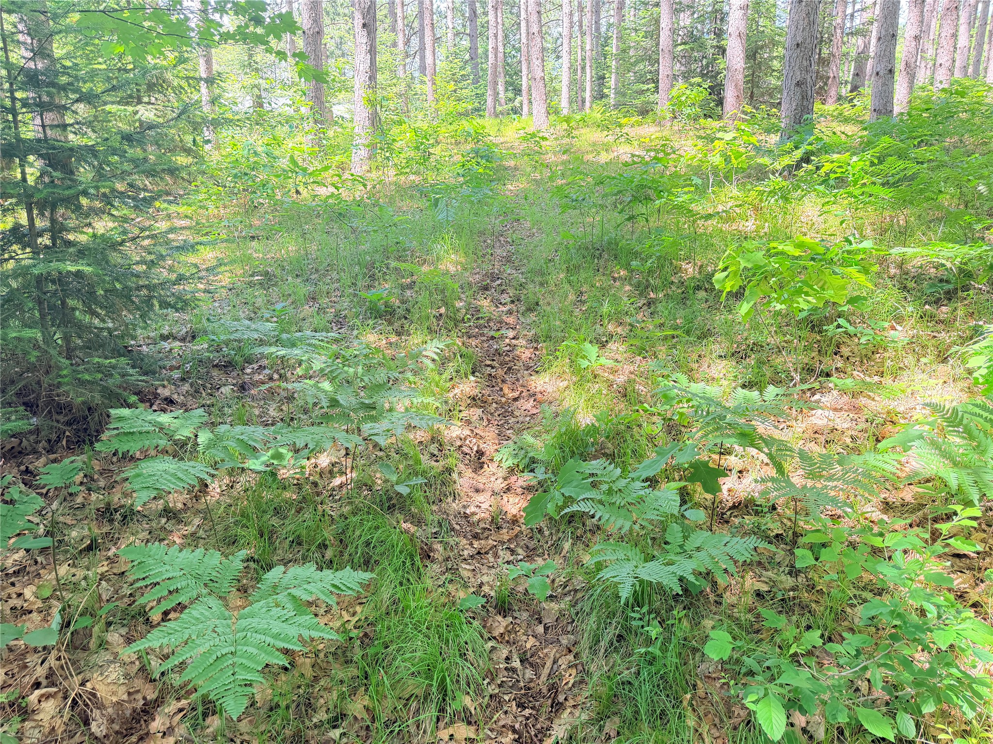 Lot 3 Boat Landing Road Property Photo 23