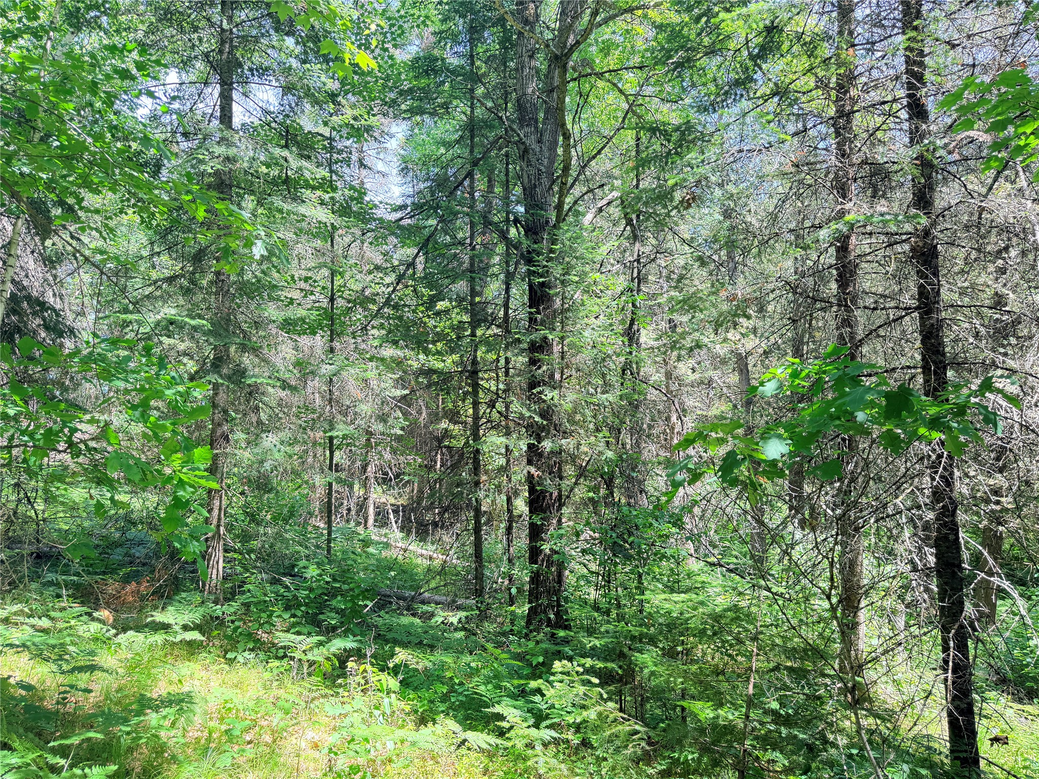 Lot 3 Boat Landing Road Property Photo 26