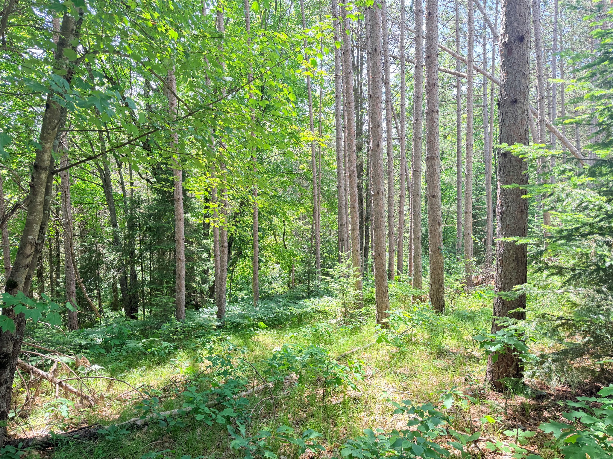 Lot 3 Boat Landing Road Property Photo 27