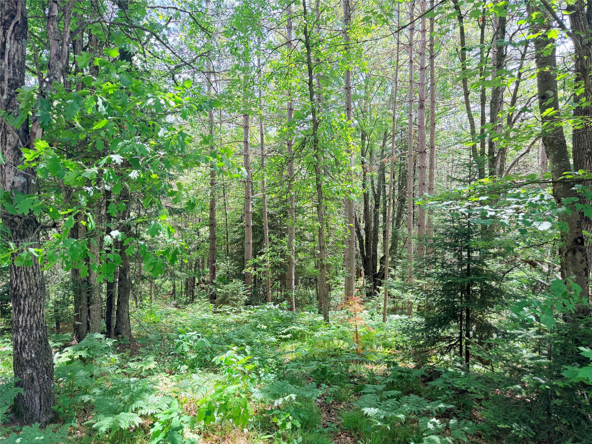 Lot 3 Boat Landing Road Property Photo 28