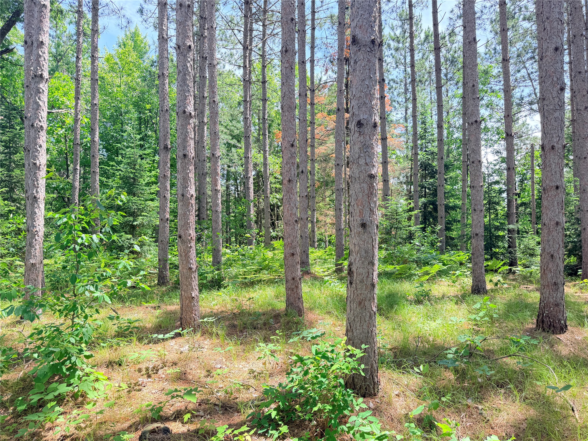 Lot 3 Boat Landing Road Property Photo 29