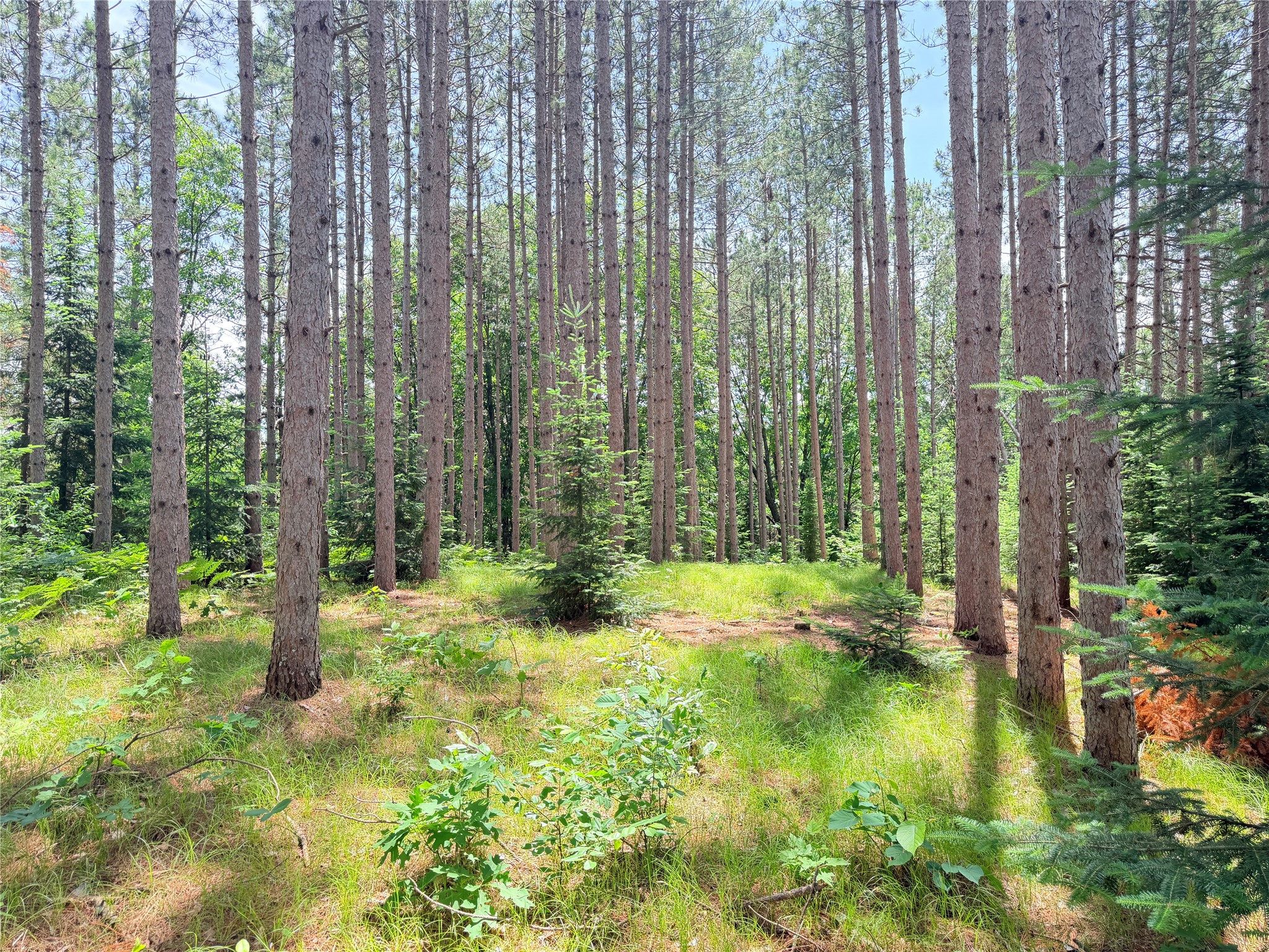 Lot 3 Boat Landing Road Property Photo 30