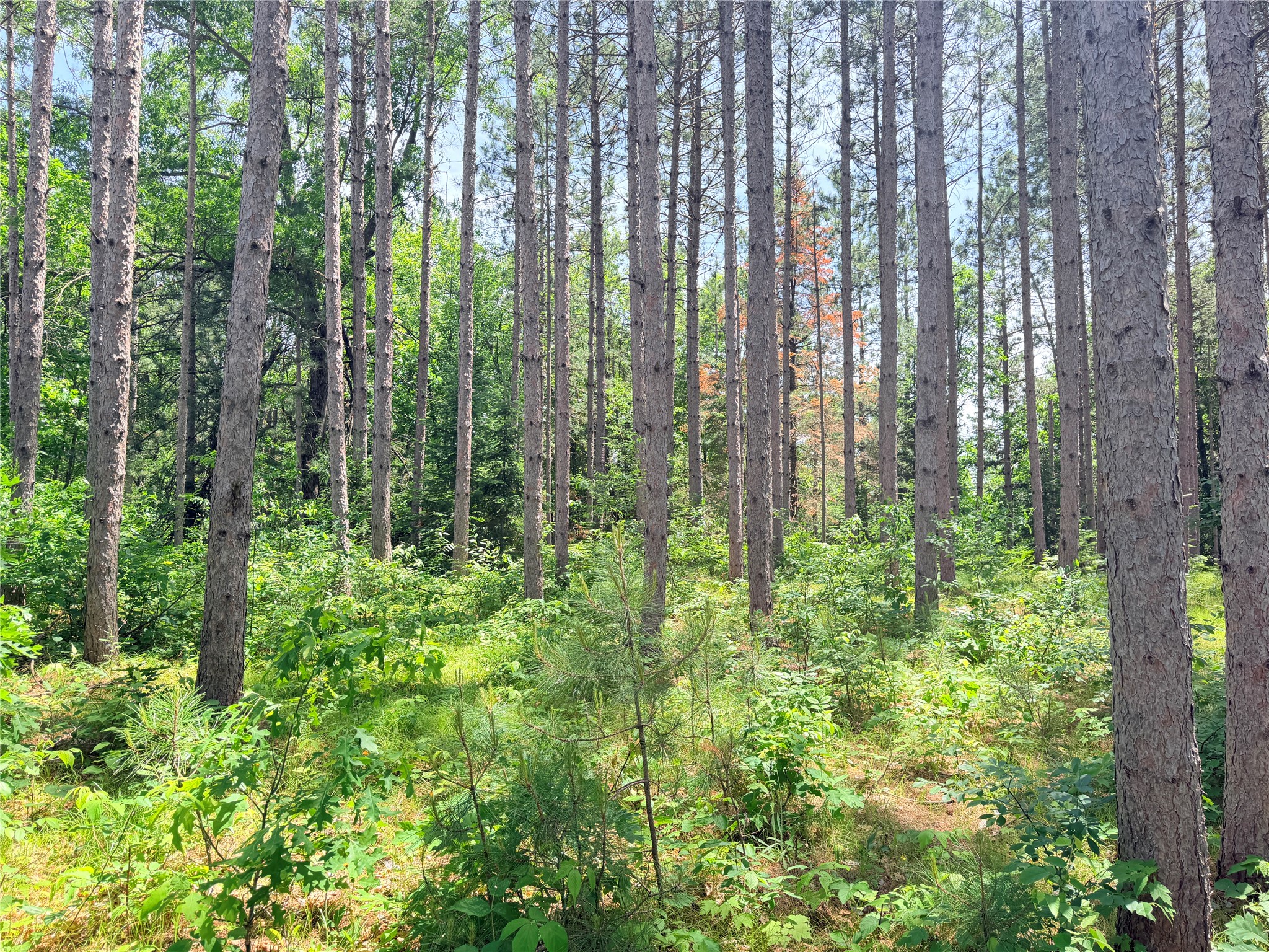 Lot 3 Boat Landing Road Property Photo 32