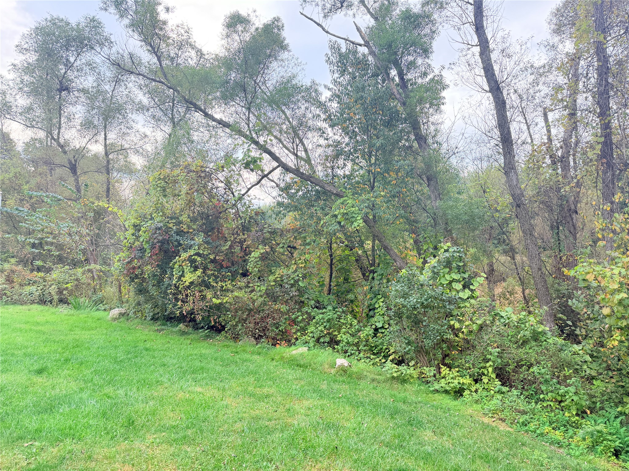 S1600 County Road I Property Photo 23