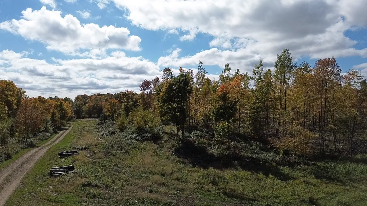 126xx Fairman Lane Property Photo 3