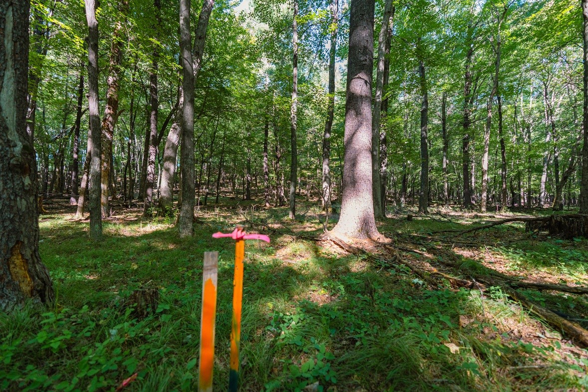 Lot3 815th Avenue Property Photo 1