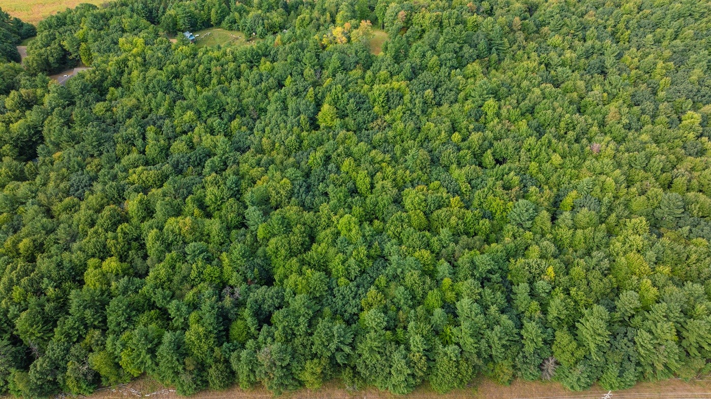 Lot3 815th Avenue Property Photo 2
