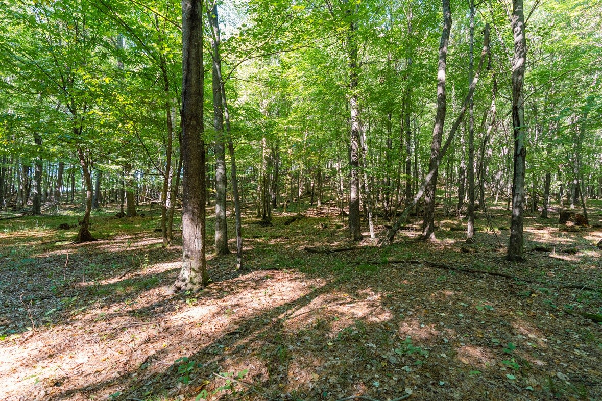 Lot3 815th Avenue Property Photo 4