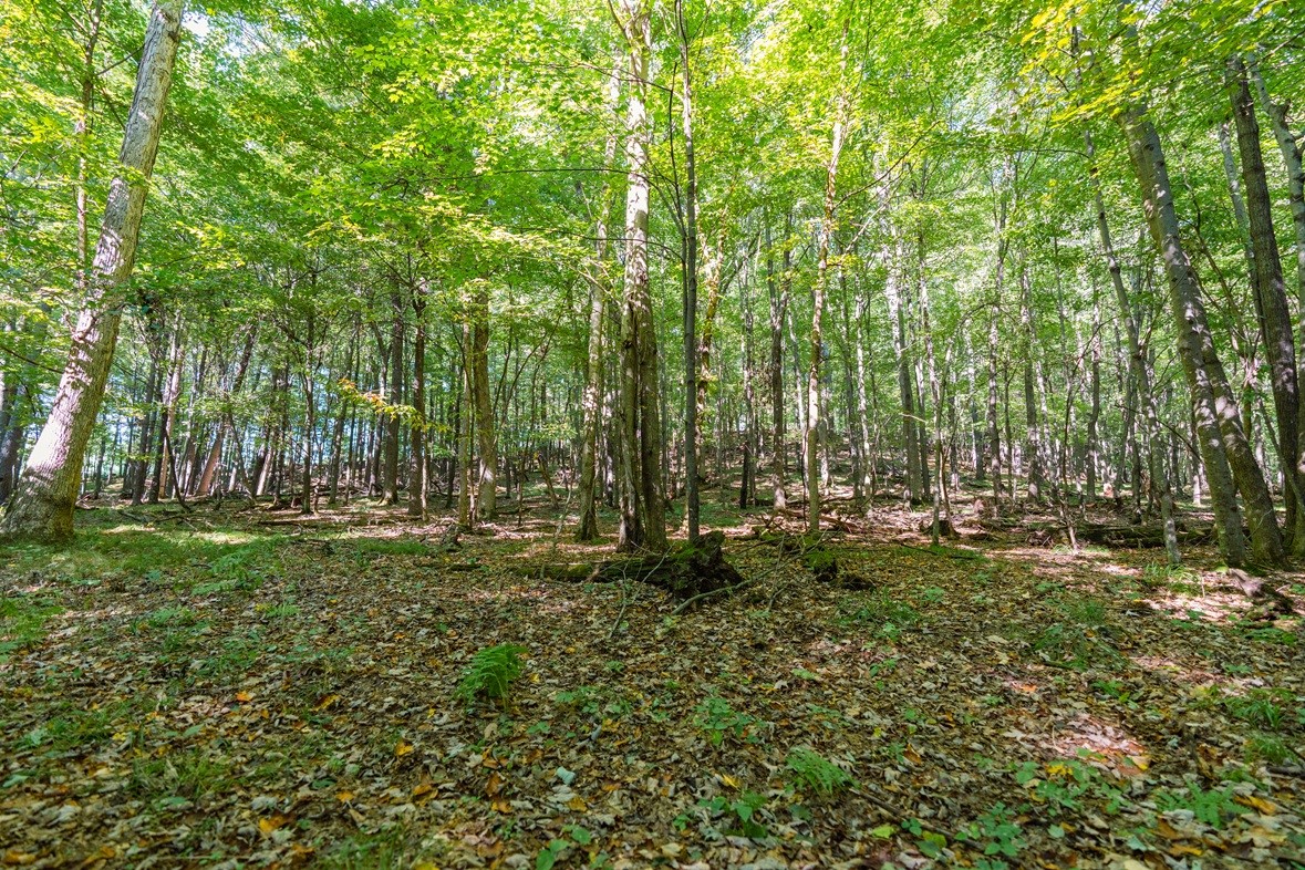 Lot3 815th Avenue Property Photo 8