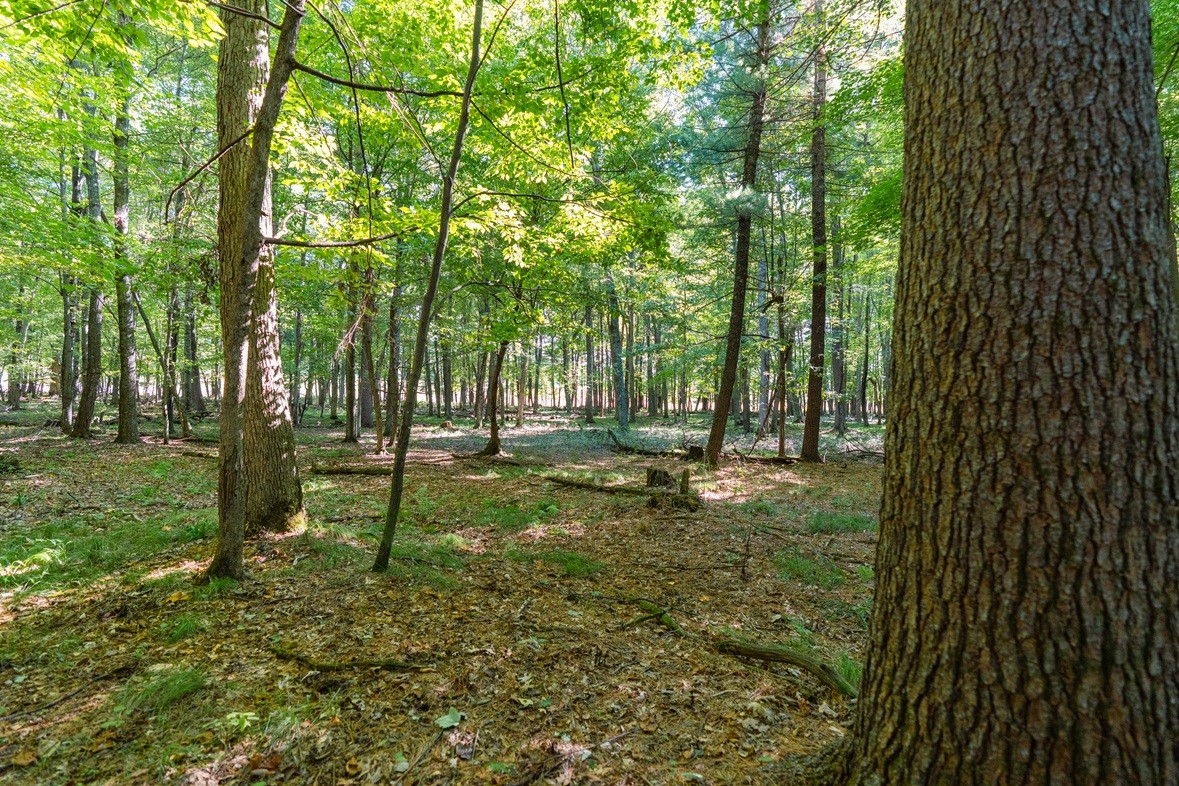 Lot3 815th Avenue Property Photo 12