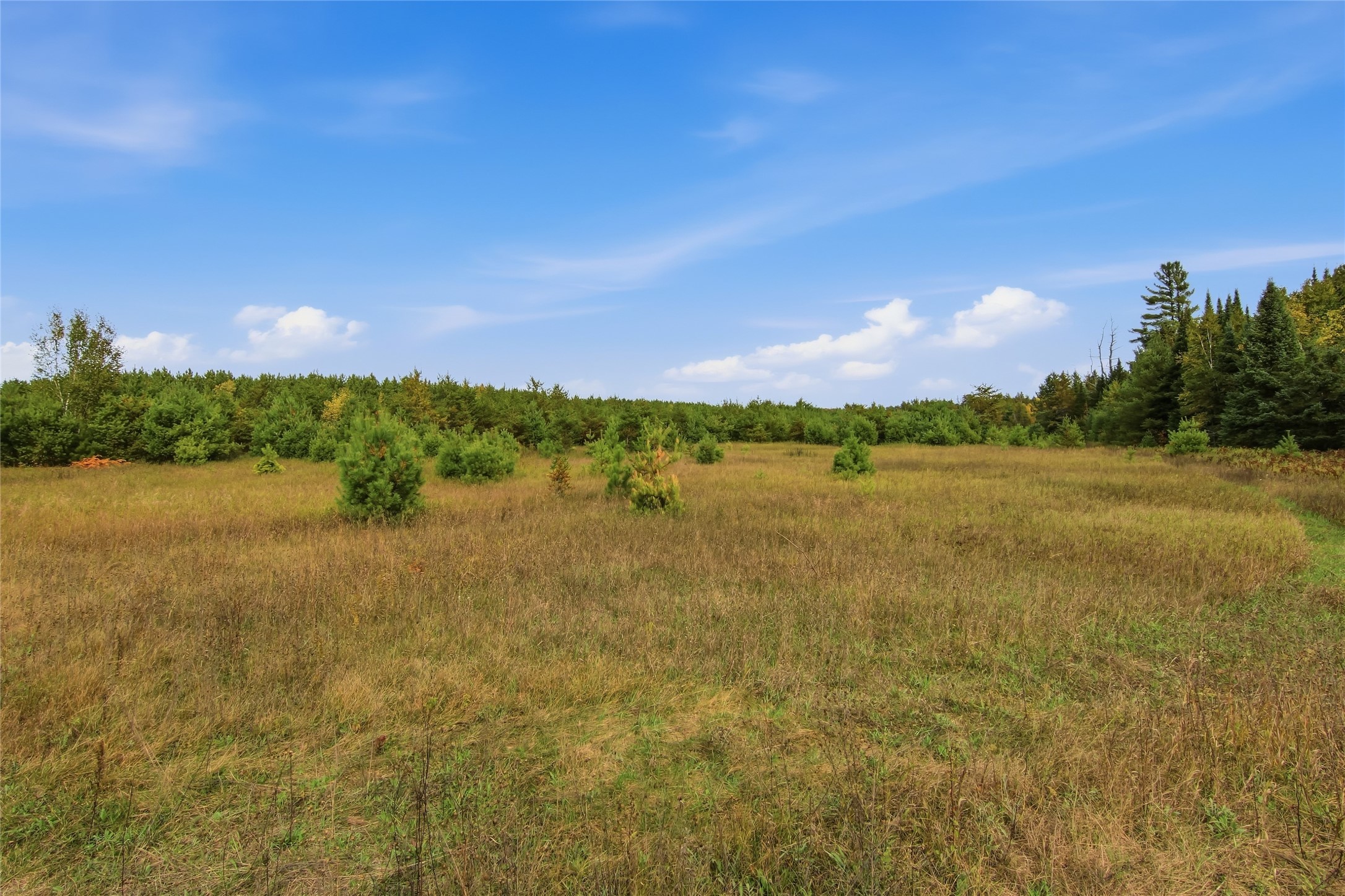 12798n State Highway 63 Property Photo 35