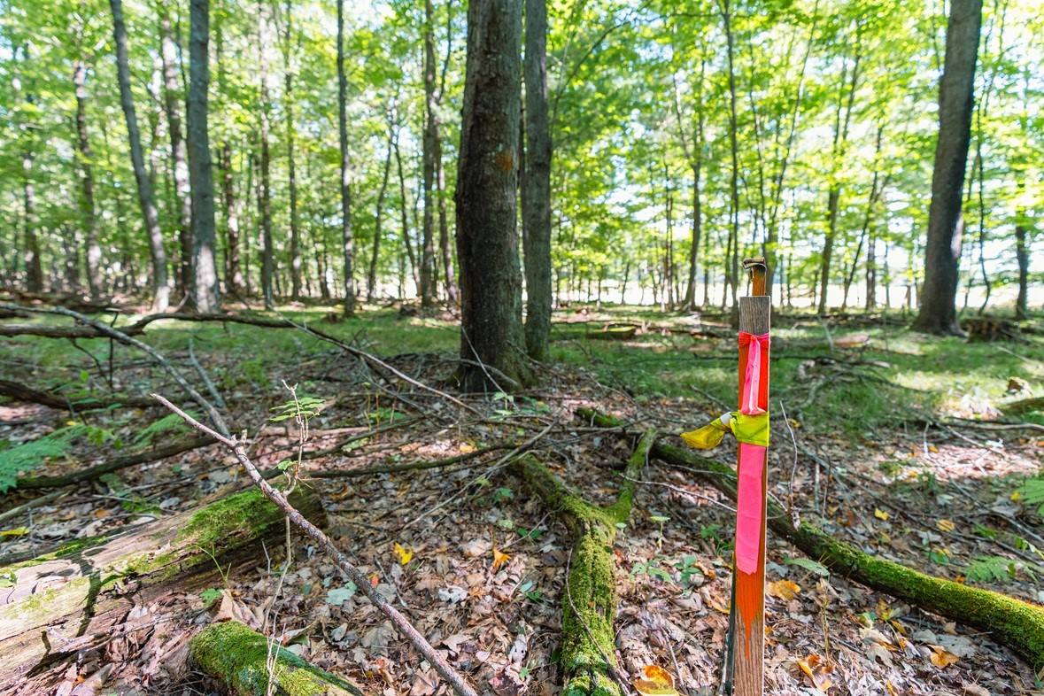 Lot5 815th Avenue Property Photo 1