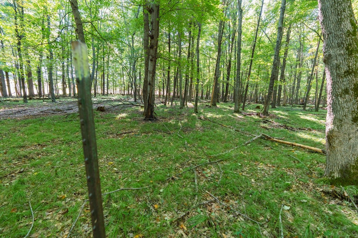 Lot5 815th Avenue Property Photo 5