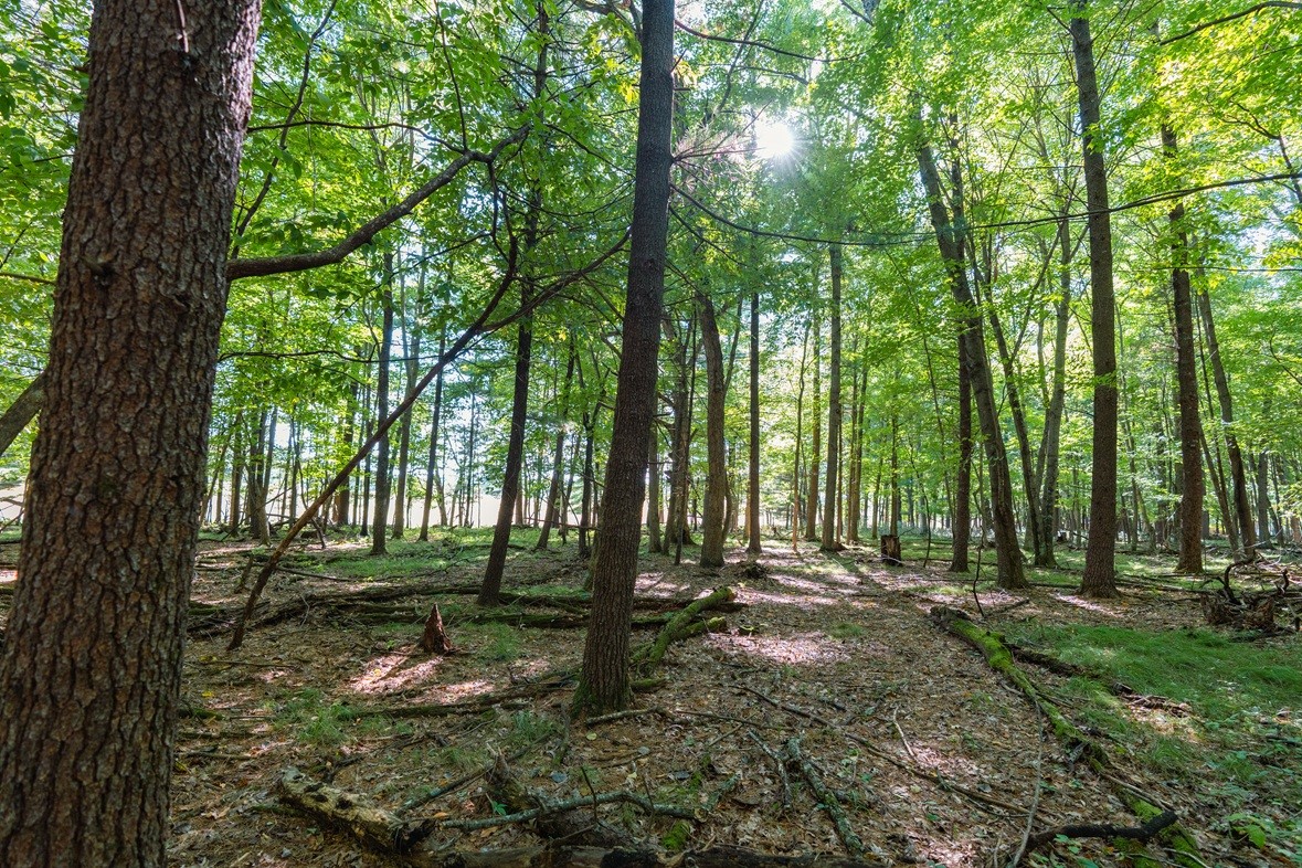 Lot5 815th Avenue Property Photo 7