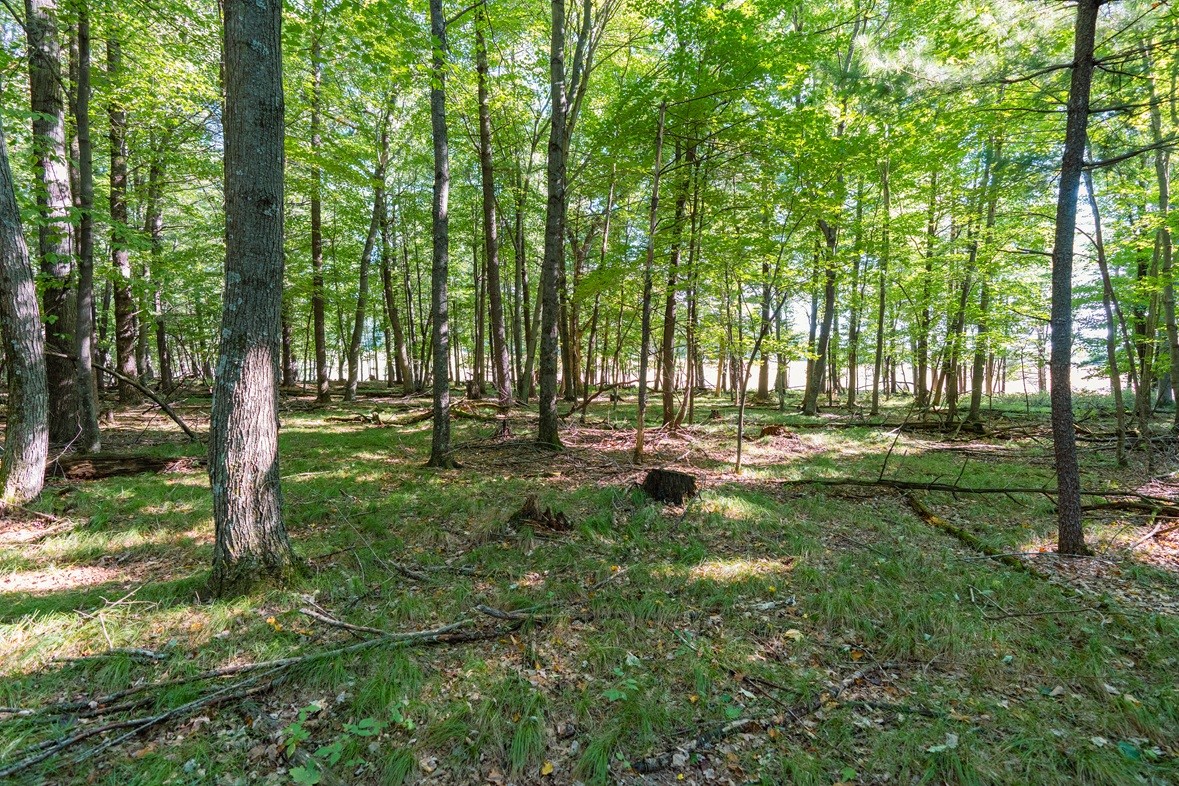 Lot5 815th Avenue Property Photo 9