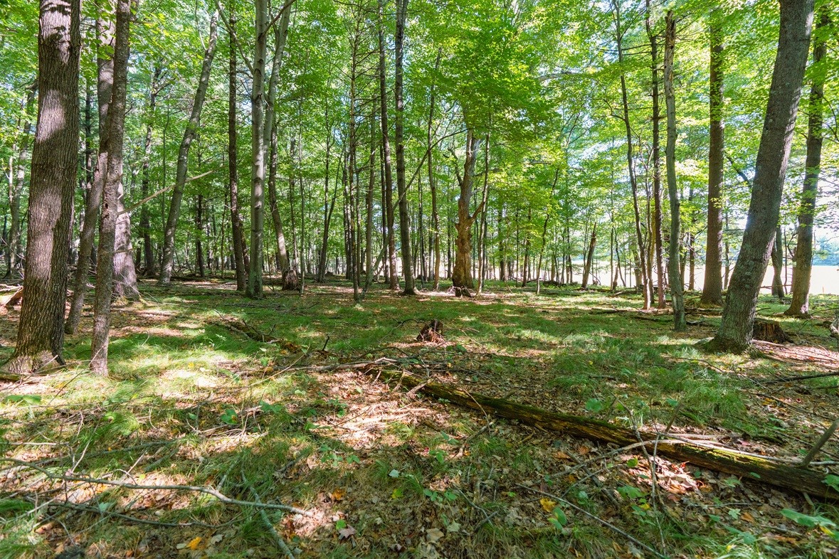 Lot5 815th Avenue Property Photo 12