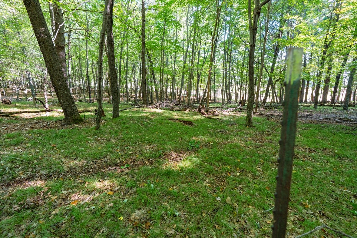 Lot6 815th Avenue Property Photo 1