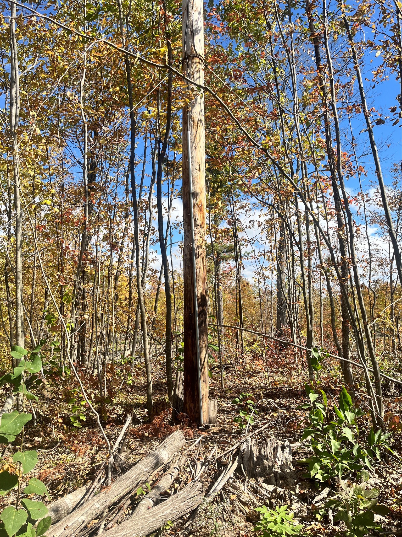 125xx Fairman Lane Property Photo 14