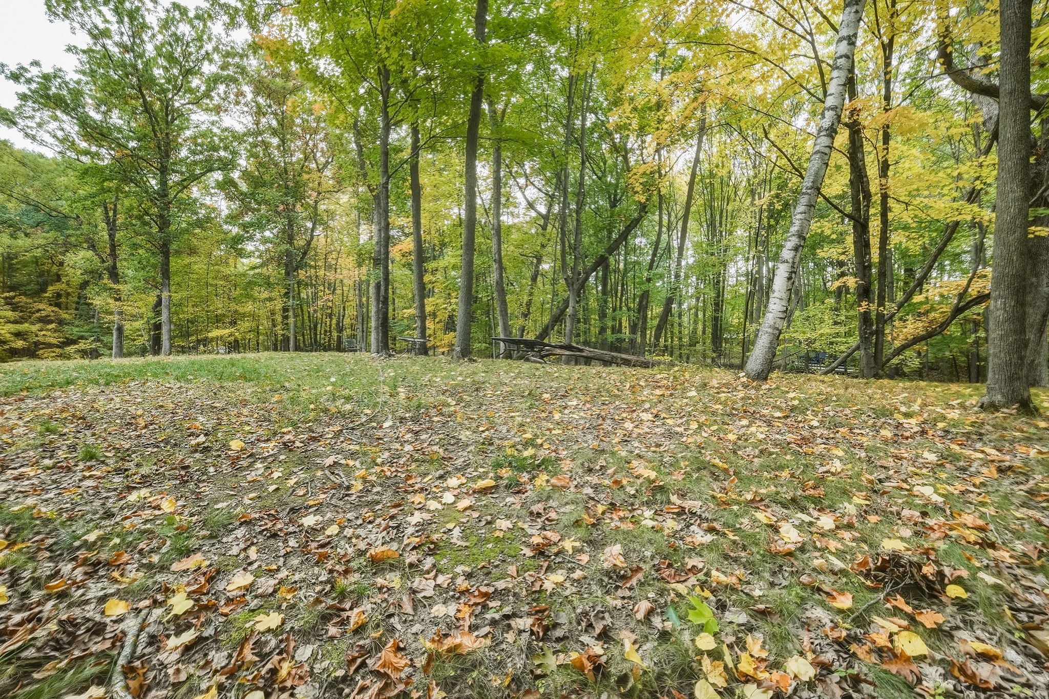 15288 221st Avenue Property Photo 5