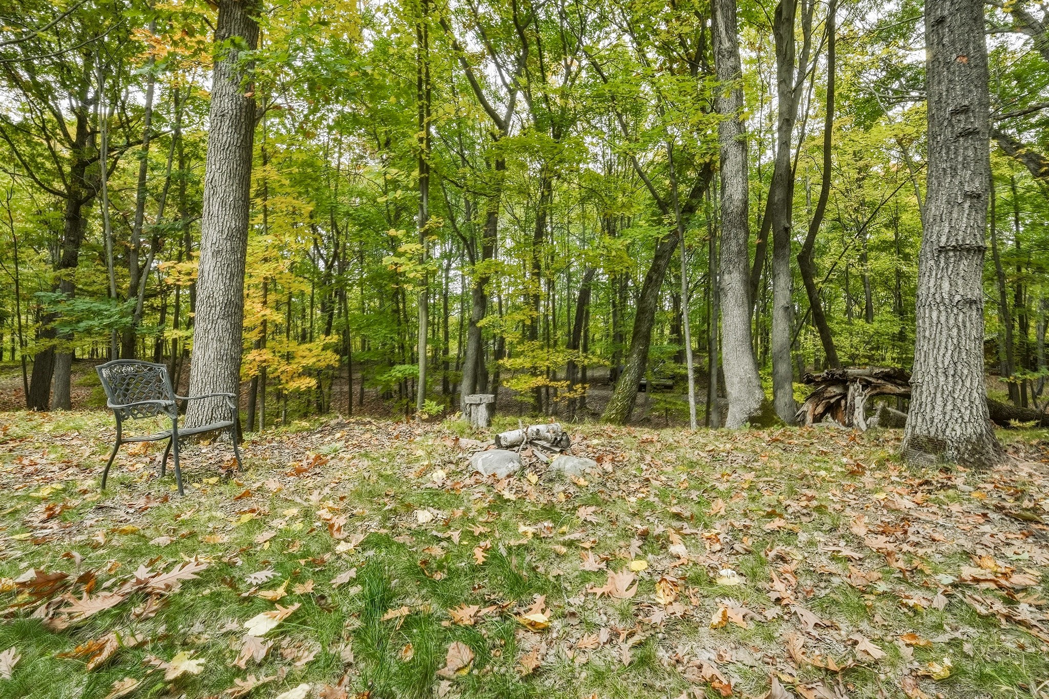 15288 221st Avenue Property Photo 7