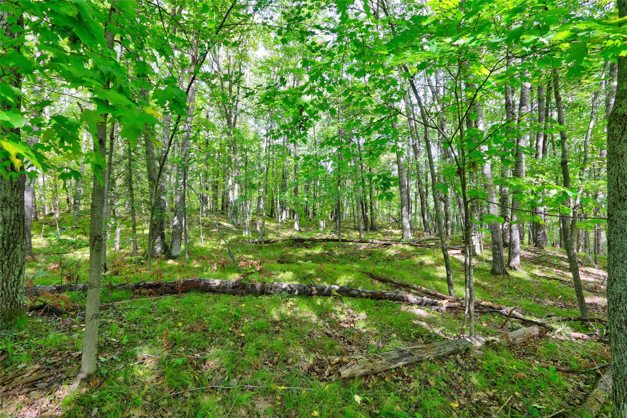 13744n Larsen Road Property Photo 16