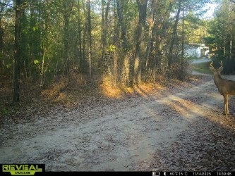 4146 N Old County Road I Property Photo 15