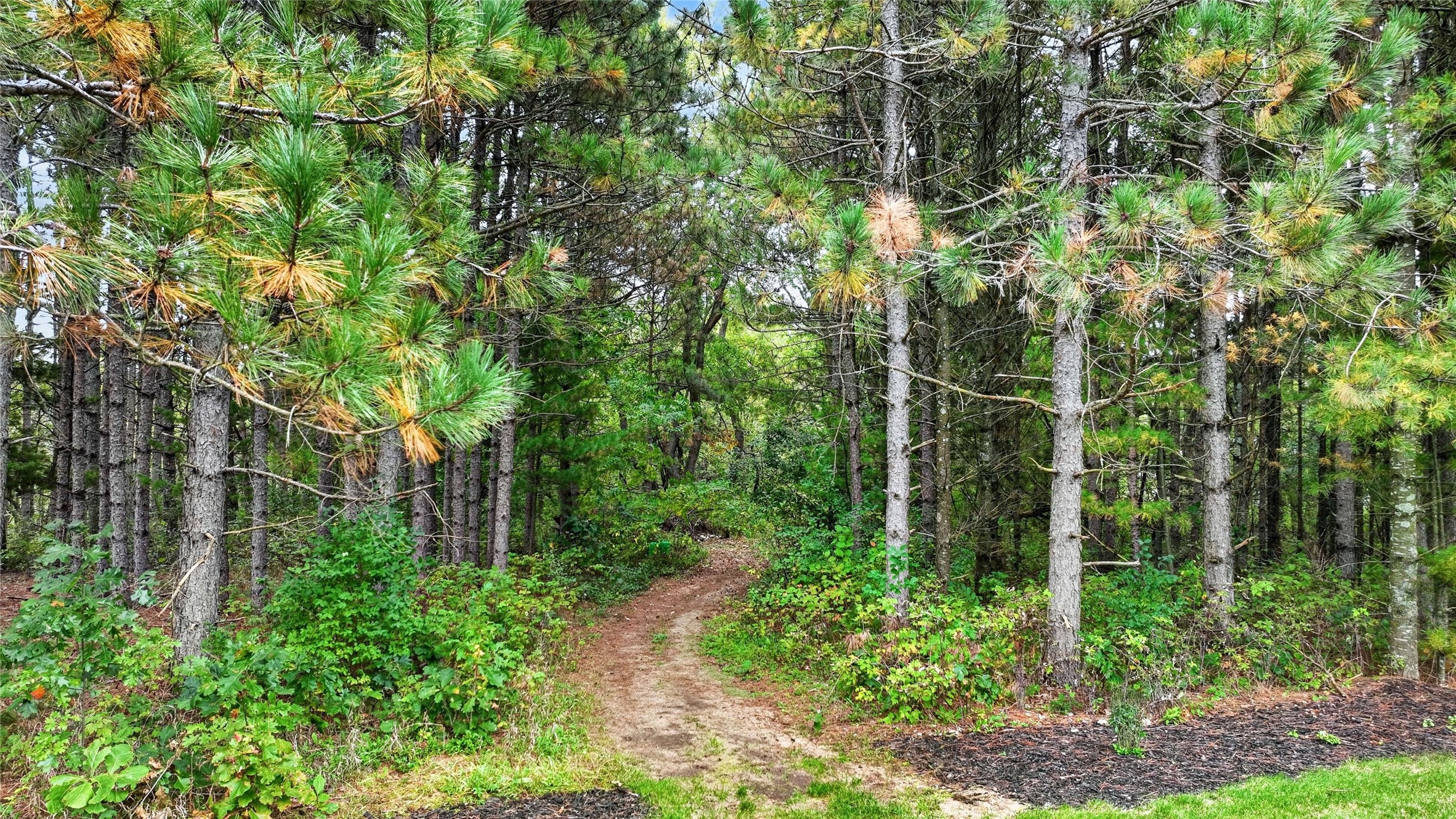 S9165 Lowes Creek Road Property Photo 39