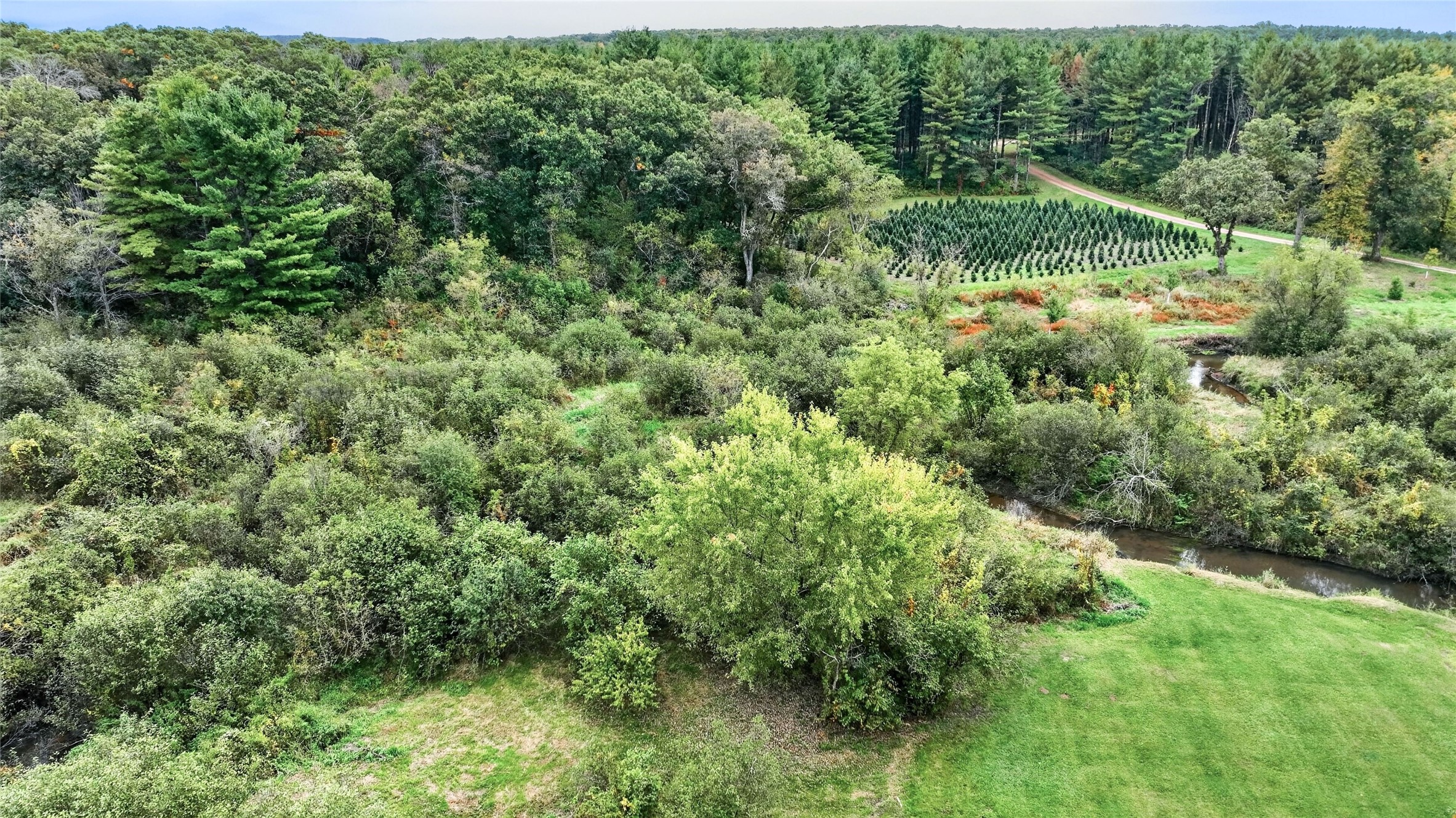 S9165 Lowes Creek Road Property Photo 46