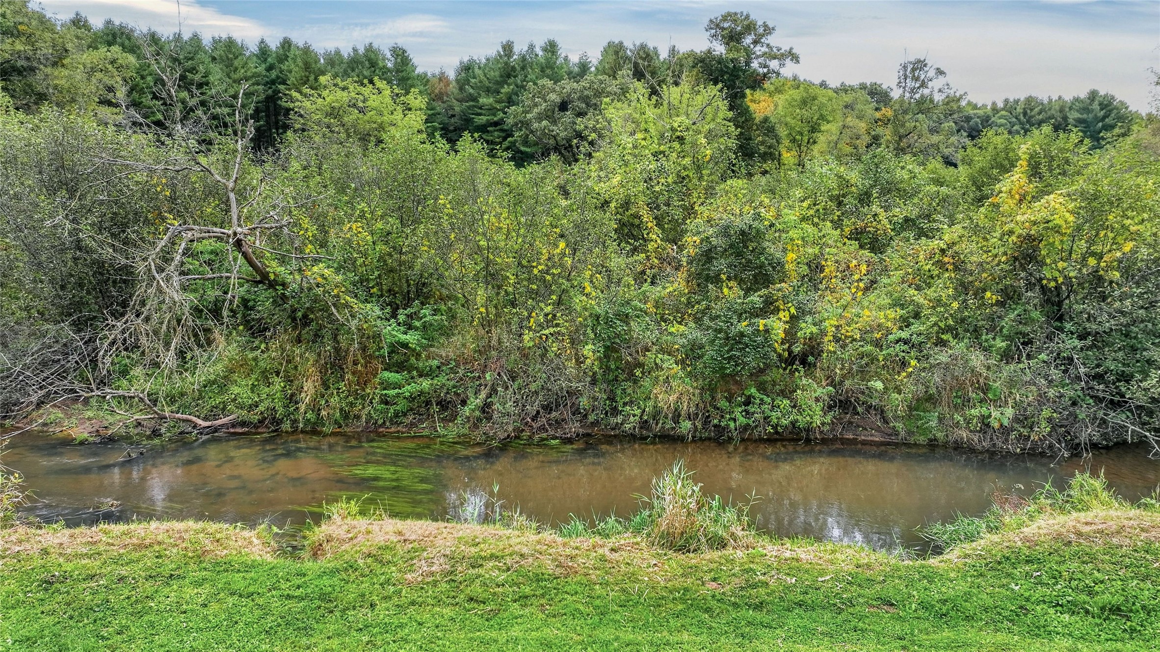 S9165 Lowes Creek Road Property Photo 51