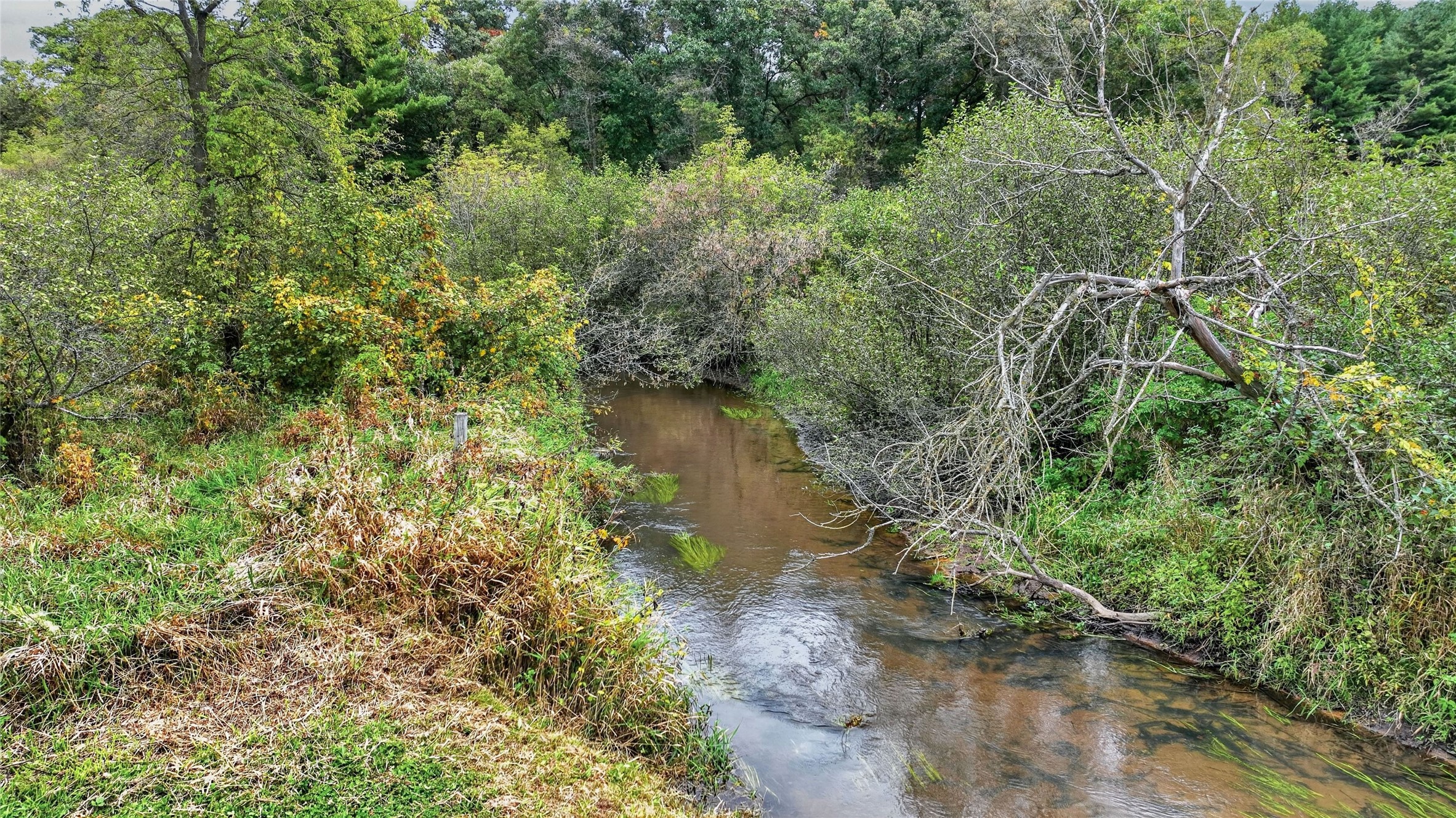 S9165 Lowes Creek Road Property Photo 52