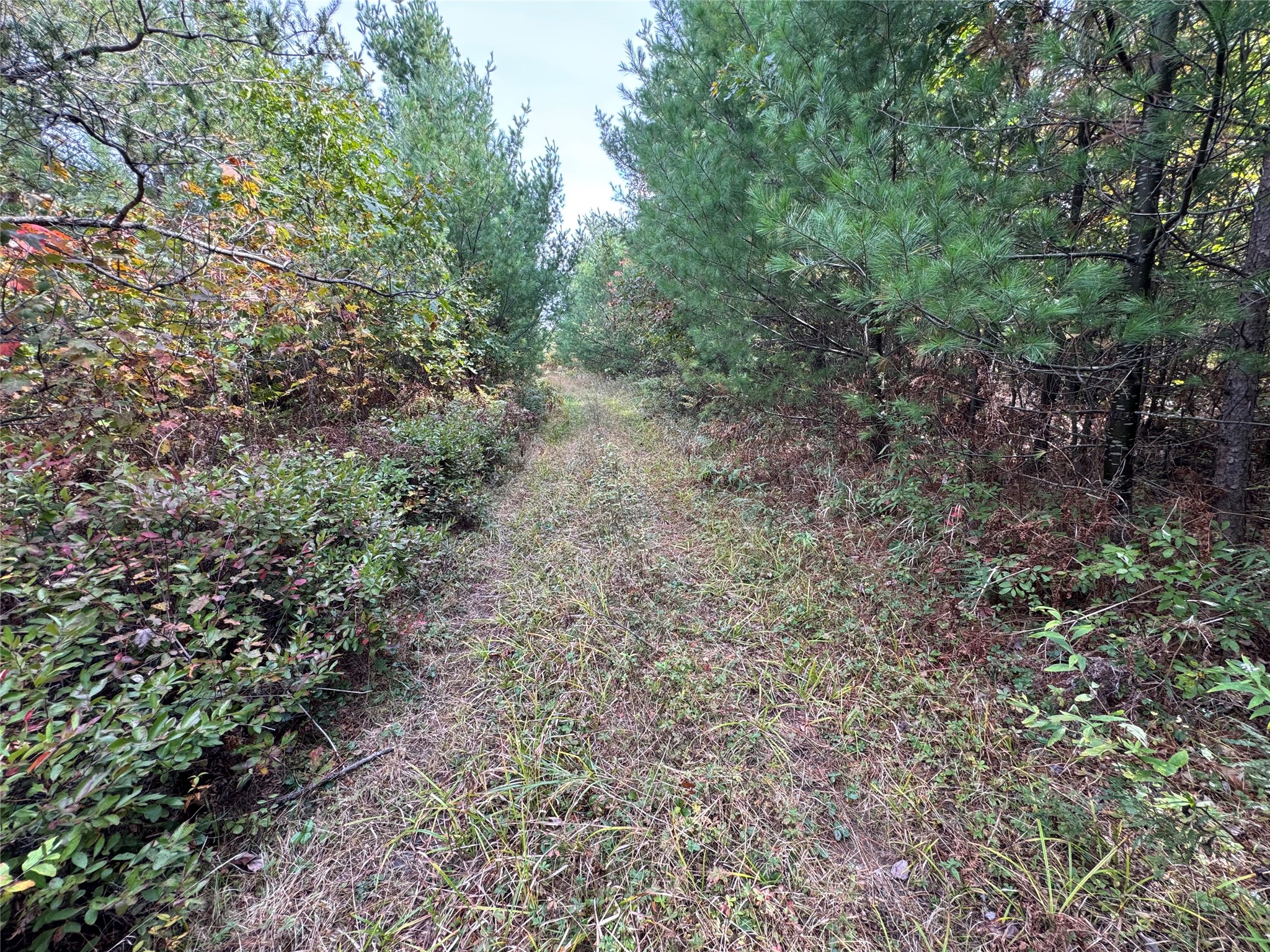 W4199 Ballard Road Property Photo 19