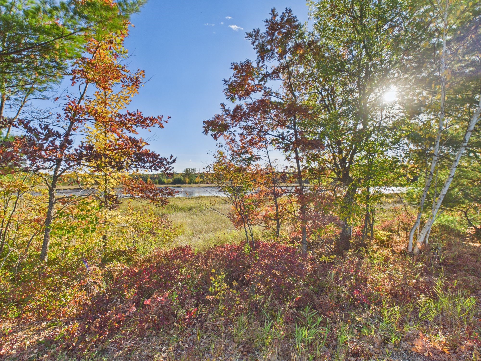 24058 Daniel Johnson Road Property Photo 19