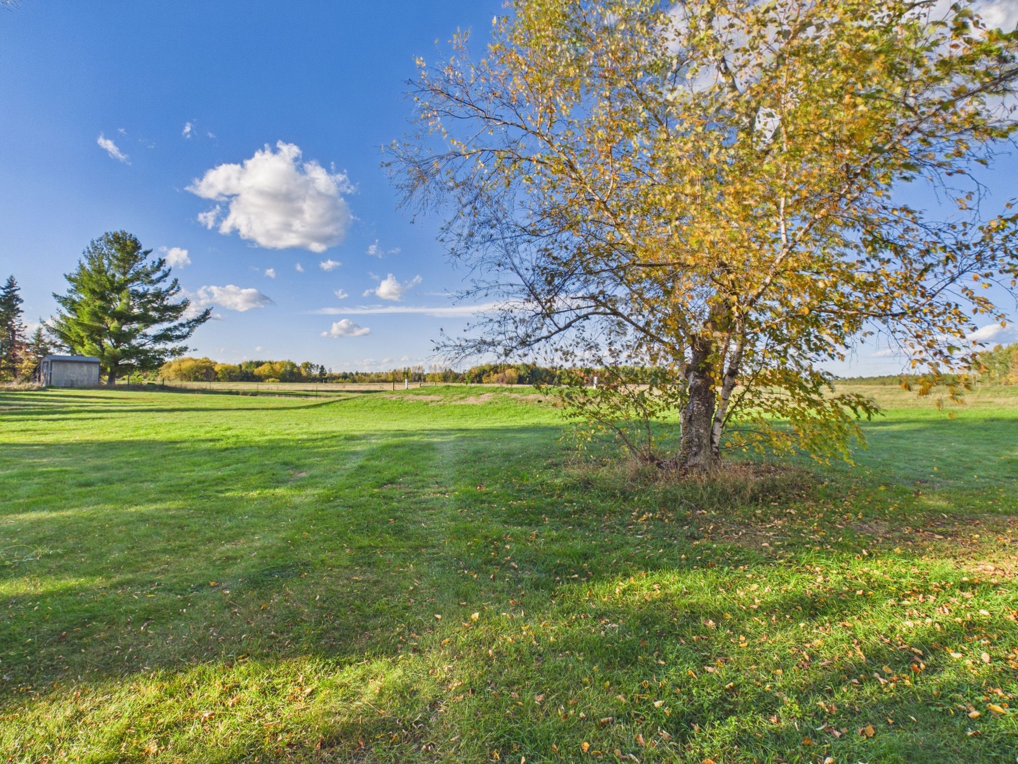 24058 Daniel Johnson Road Property Photo 20
