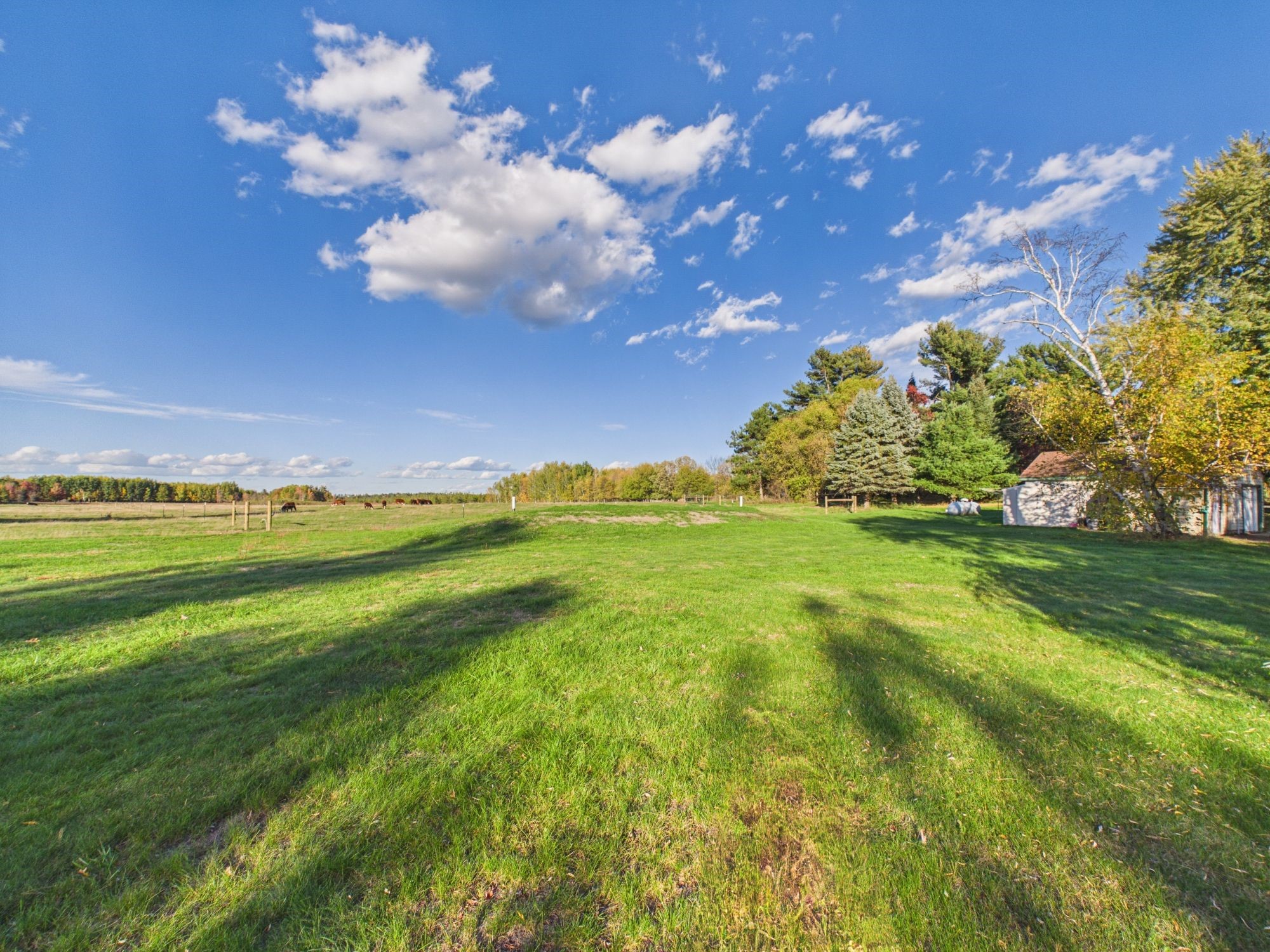 24058 Daniel Johnson Road Property Photo 23