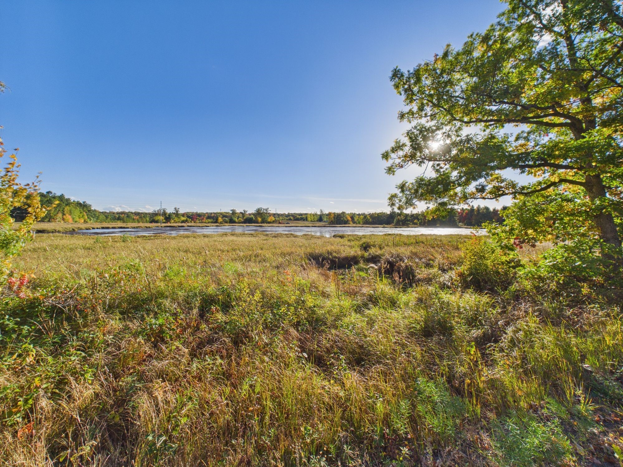 24058 Daniel Johnson Road Property Photo 46