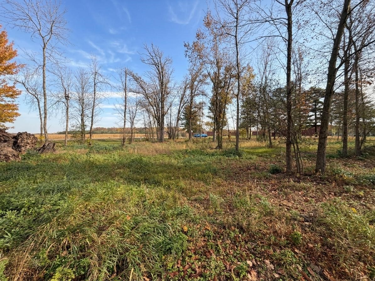 Lot 1 N East Street Property Photo 5