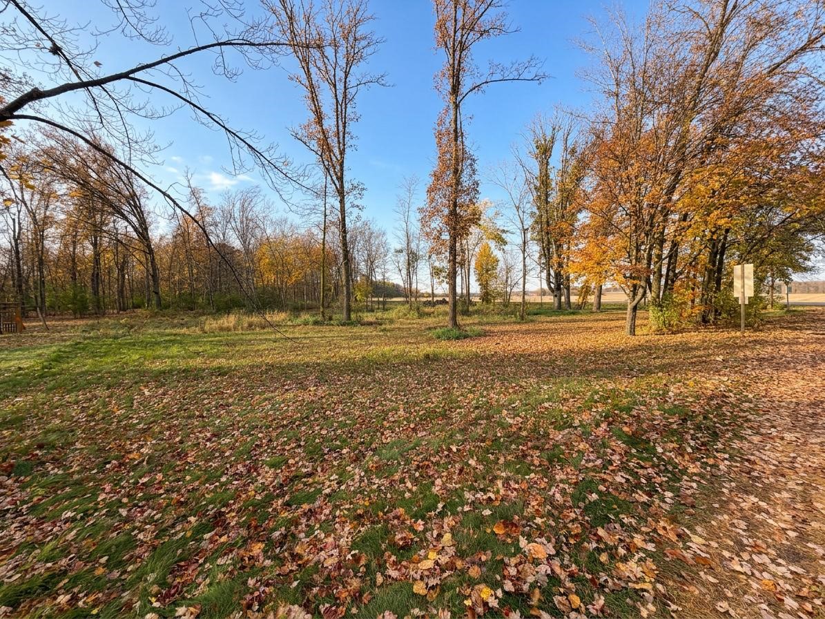 Lot 2 N East Street Property Photo 3