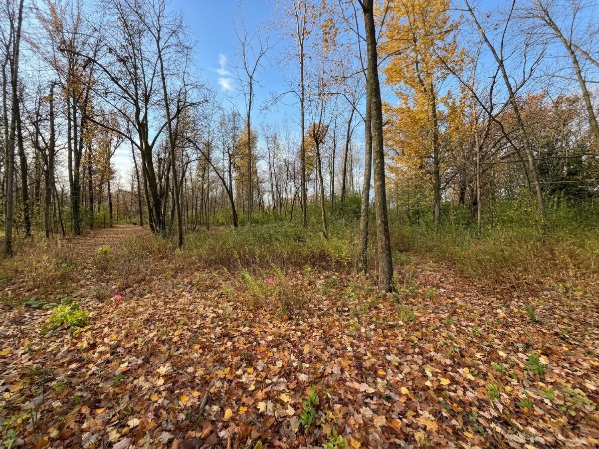 Lot 5 County Highway M Property Photo 7