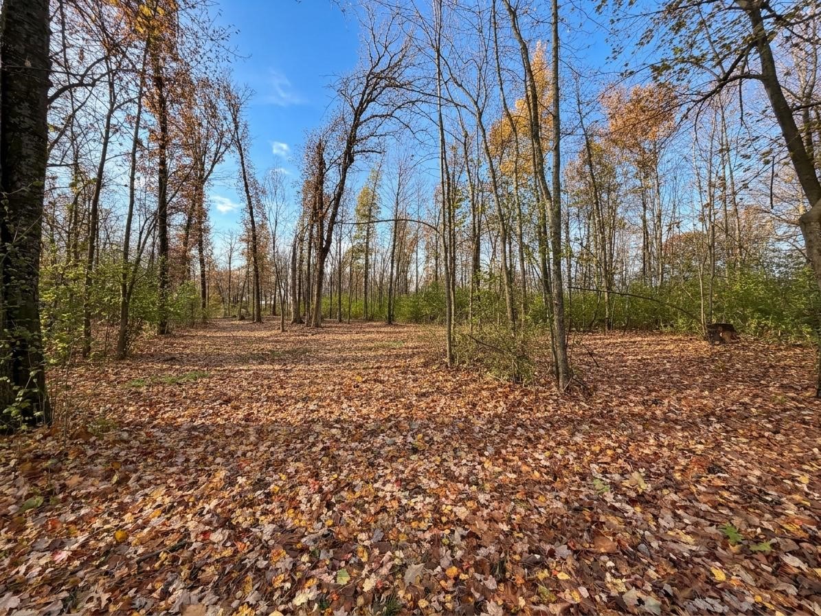 Lot 5 County Highway M Property Photo 8