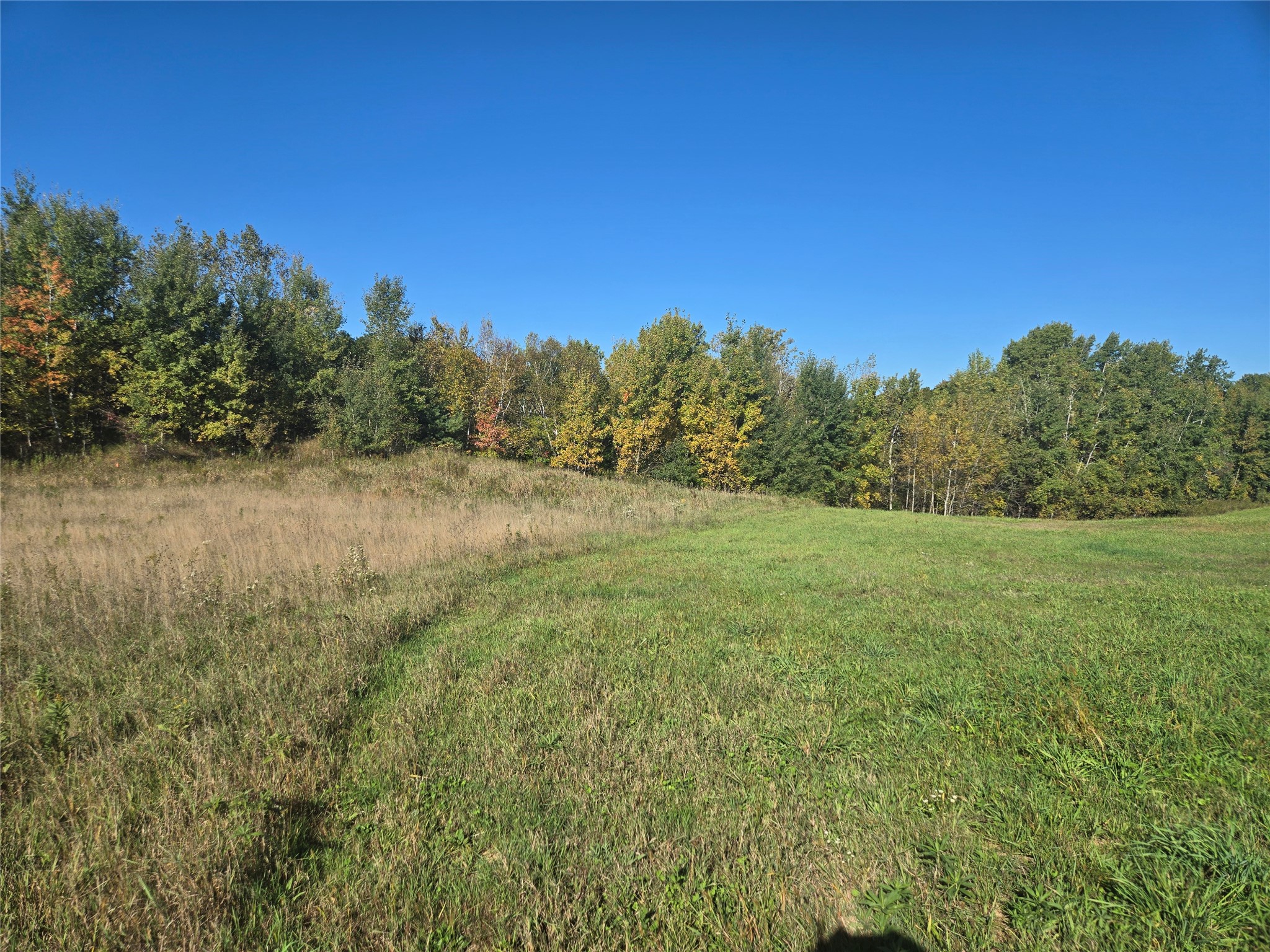 5 Acres 180th Street Property Photo 1