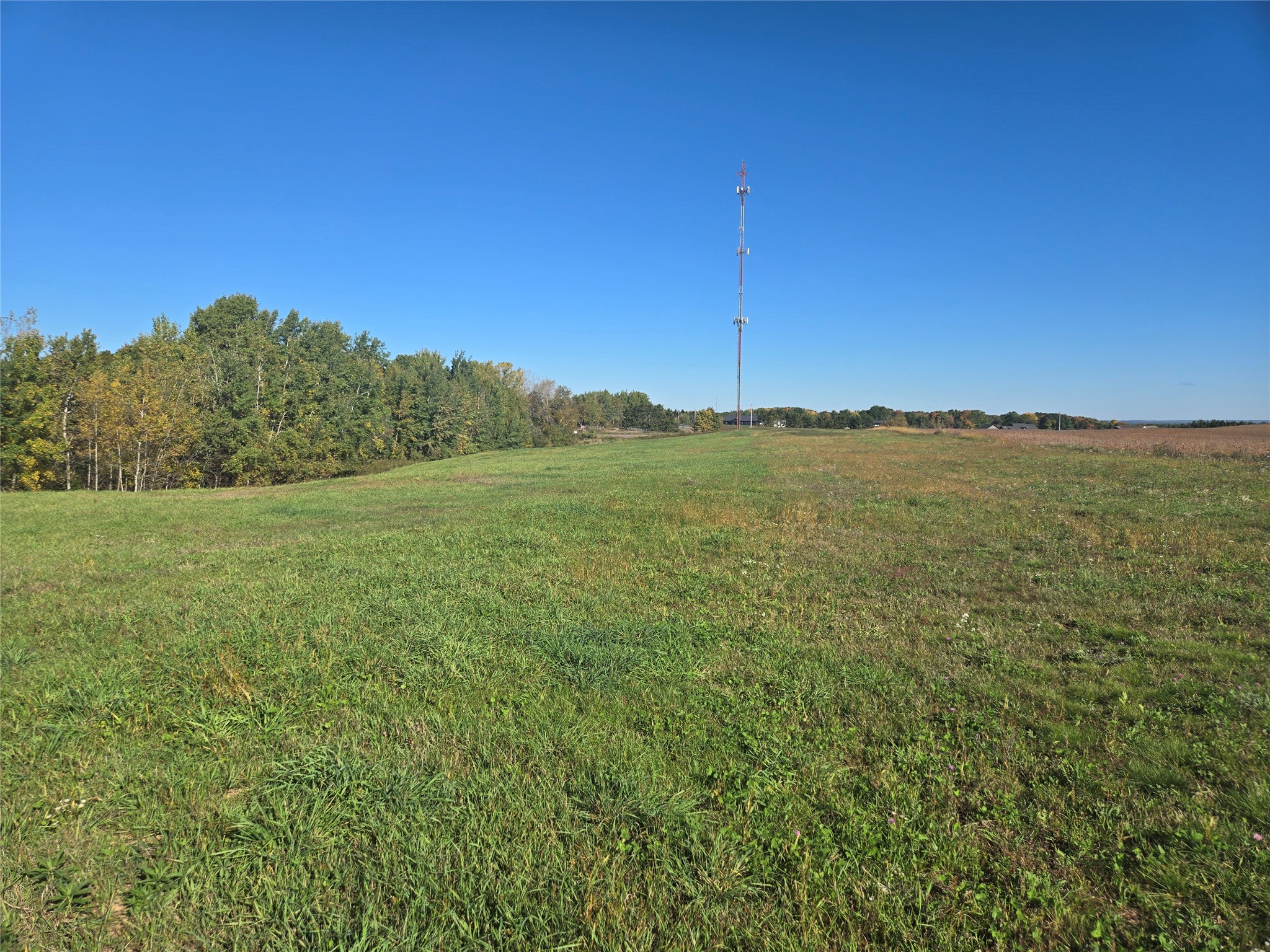 5 Acres 180th Street Property Photo 2