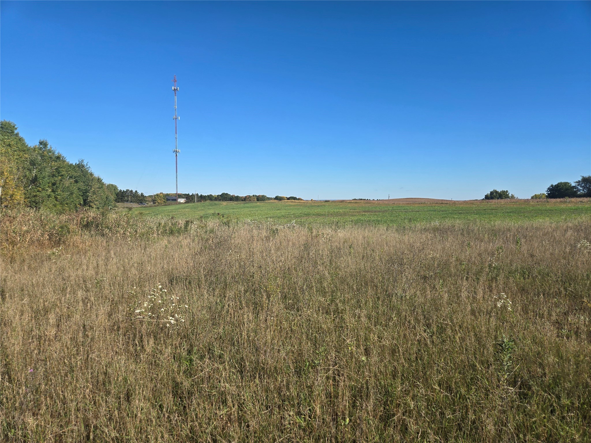 5 Acres 180th Street Property Photo 3