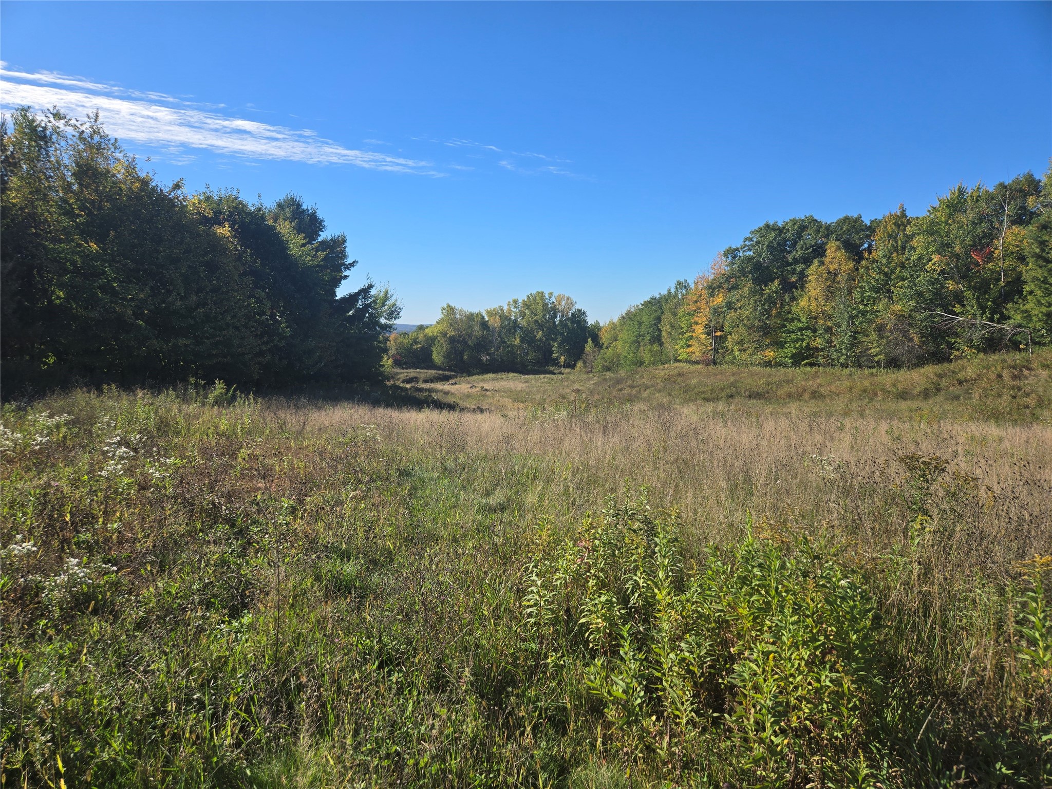 5 Acres 180th Street Property Photo 5